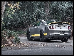 Chicane, Mustang, Ford, Tuning